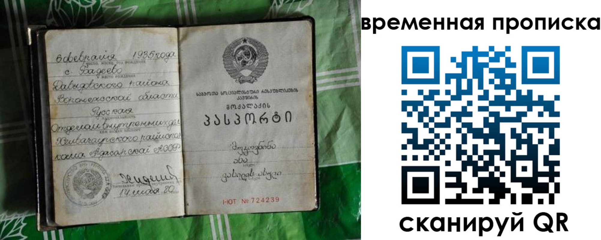 прописка в Волосово